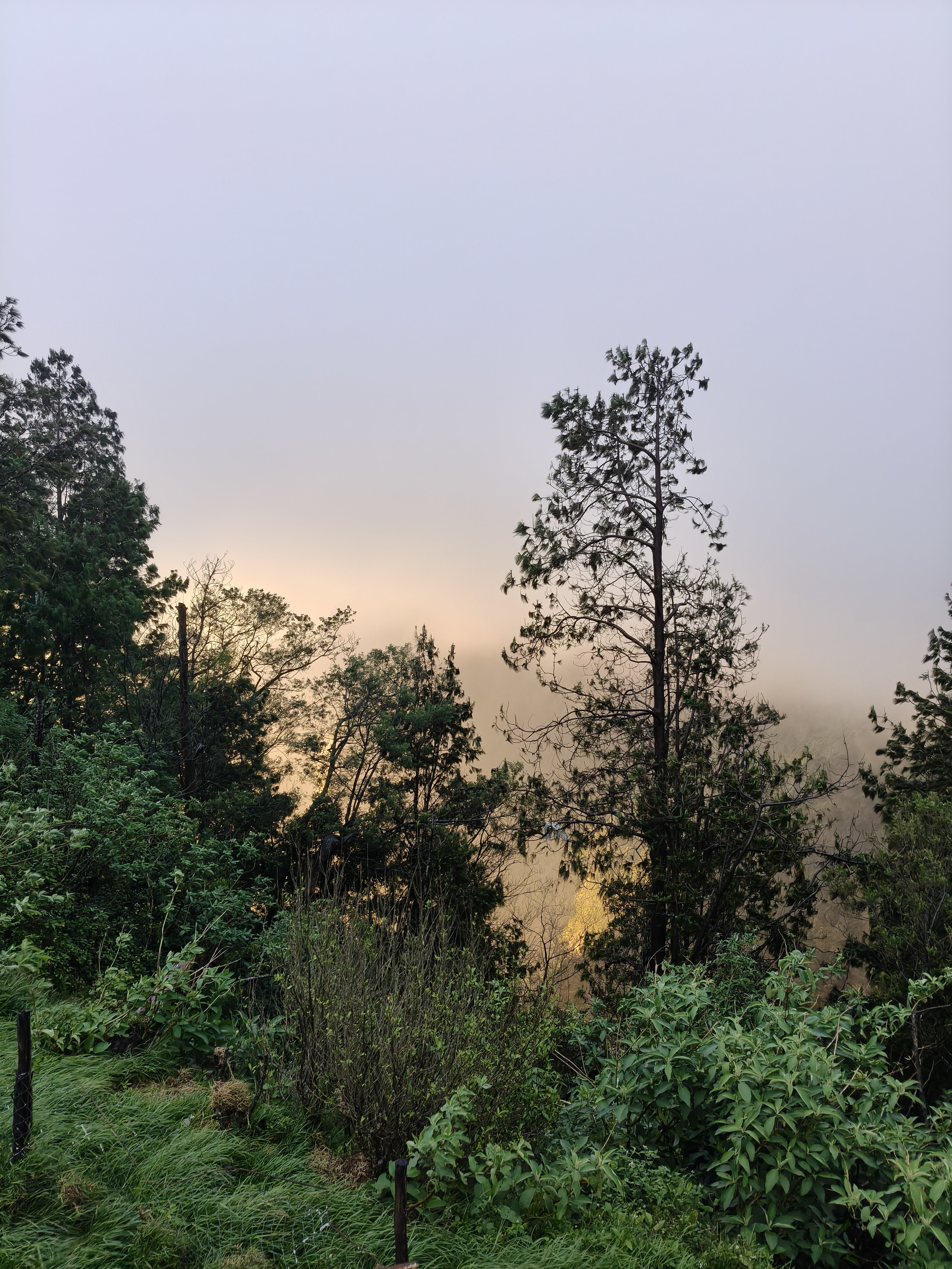 Drone control view overlooking Kolukkumalai tea plantations and misty mountain valley